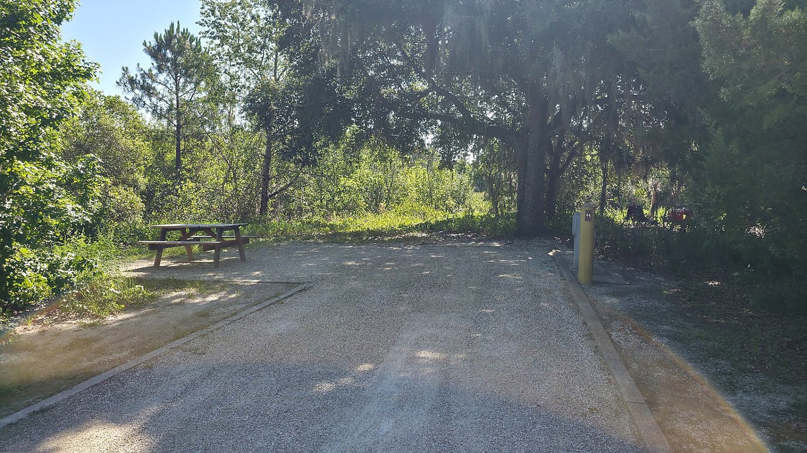 Campsite surrounded by trees at Lake Louisa State Park in Clermont, Florida